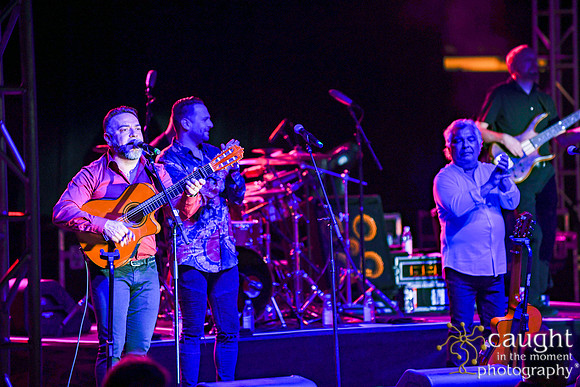 016 gypsy kings live performance