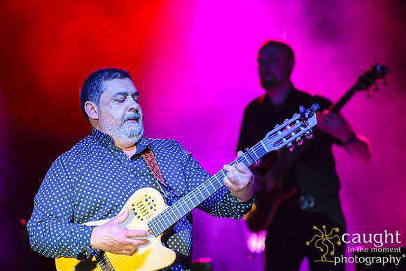 006 gypsy kings live performance