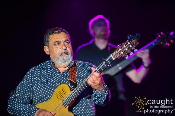 010 gypsy kings live performance