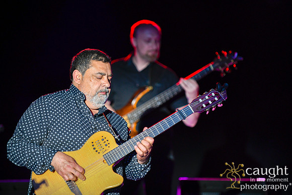 008 gypsy kings live performance