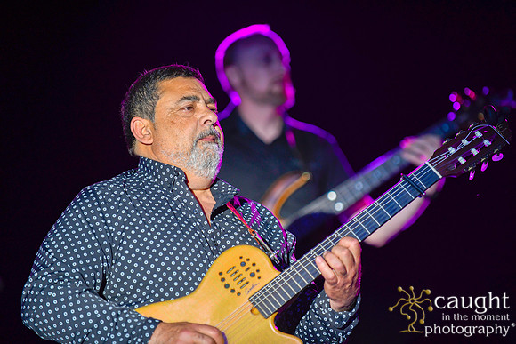 009 gypsy kings live performance