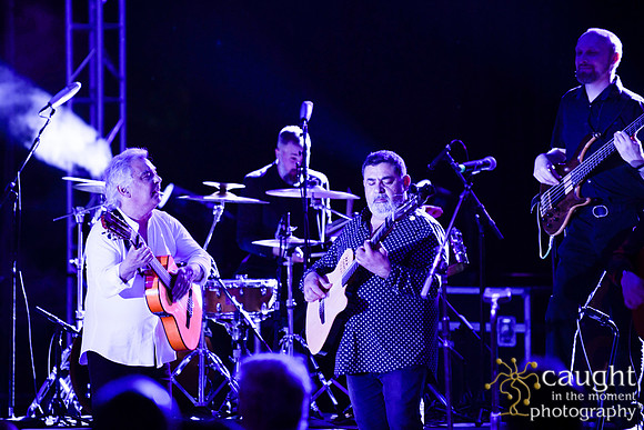 029 gypsy kings live performance