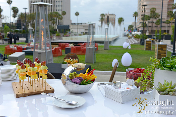 62 Long Beach Convention Center Terrace