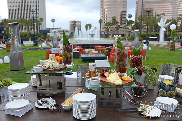 46 Long Beach Convention Center Terrace