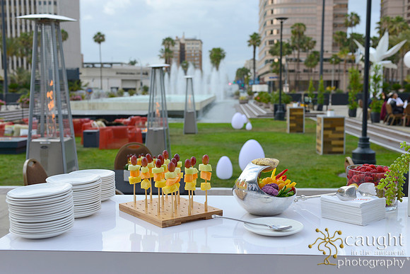 61 Long Beach Convention Center Terrace