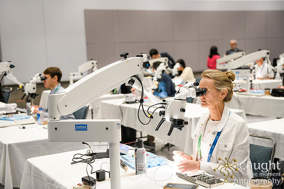 585 AAE 2024 in Los Angeles - Hand-On Sessions