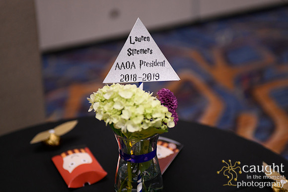 103 AAOA at OMED 2018 San Diego