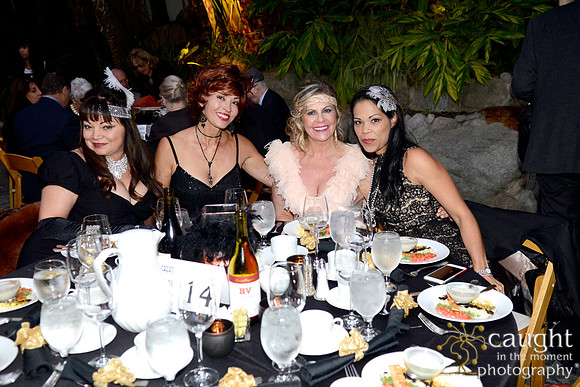 094 APAC Foundation Gala 2014
