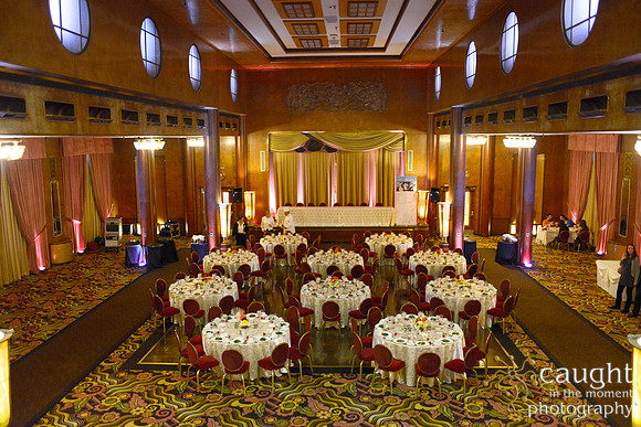 81 Queen Mary ABC 2014