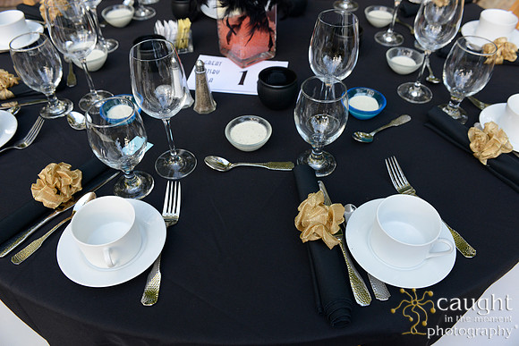 078 APAC Foundation Gala 2014