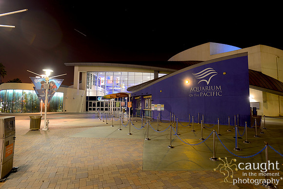 044 Aquarium of the Pacific Special Event Venue