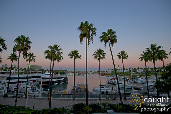 032 Aquarium of the Pacific Special Event Venue