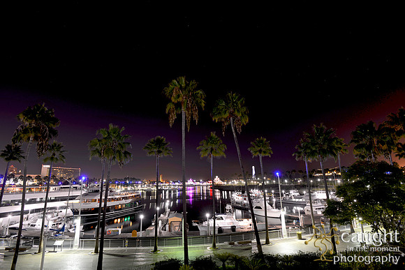043 Aquarium of the Pacific Special Event Venue