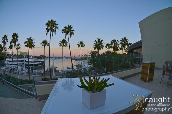022 Aquarium of the Pacific Special Event Venue