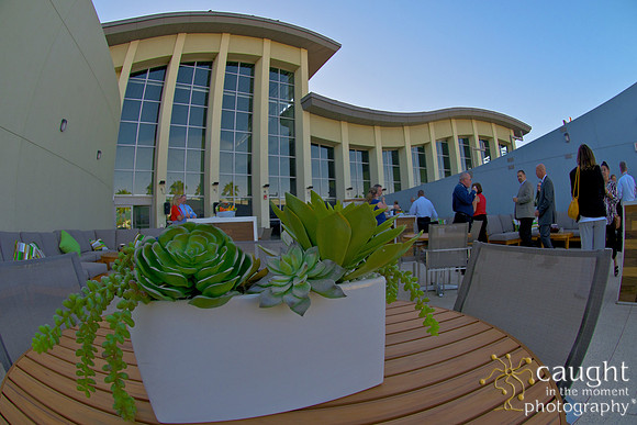 030 Aquarium of the Pacific Special Event Venue