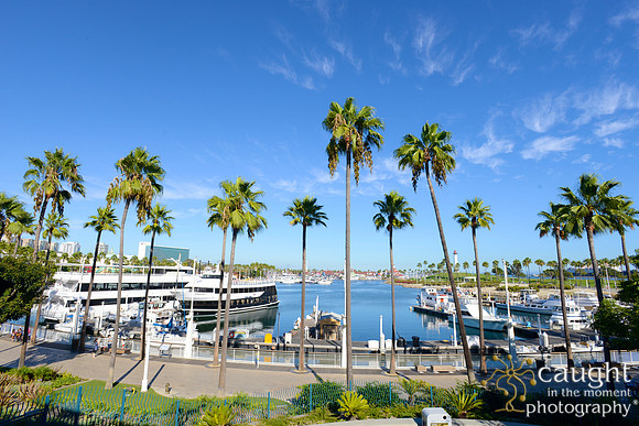 002 Aquarium of the Pacific Special Event Venue