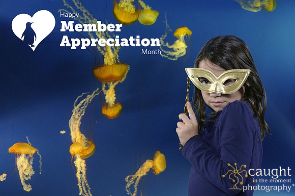 051 Aquarium Member Appreciation