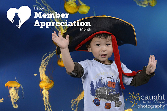 039 Aquarium Member Appreciation