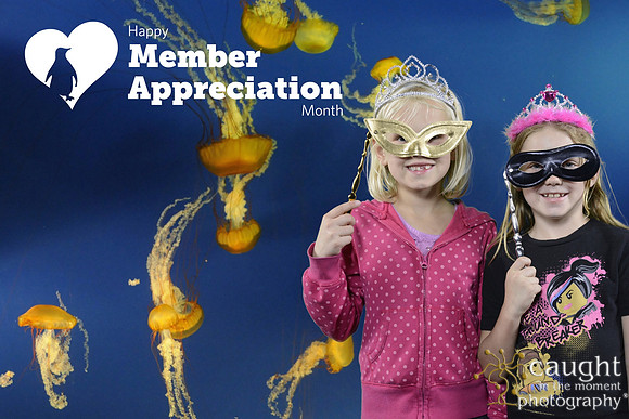 029 Aquarium Member Appreciation