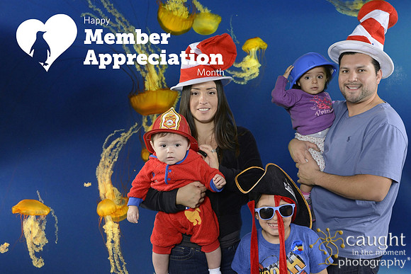 004 Aquarium Member Appreciation