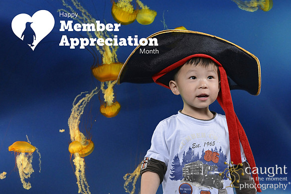 038 Aquarium Member Appreciation