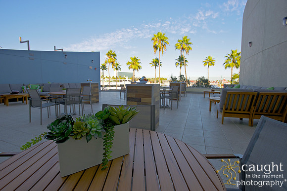 010 Aquarium of the Pacific Special Event Venue