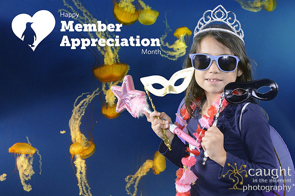 001 Aquarium Member Appreciation