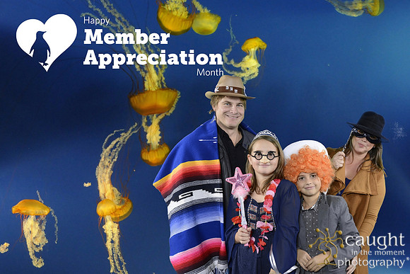 032 Aquarium Member Appreciation