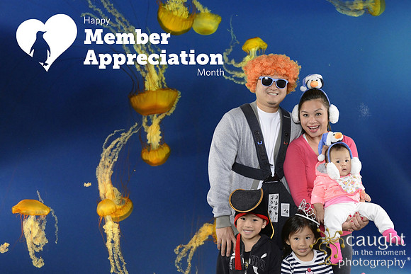 002 Aquarium Member Appreciation
