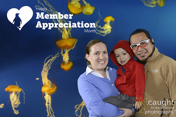 050 Aquarium Member Appreciation