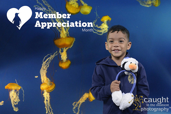 035 Aquarium Member Appreciation