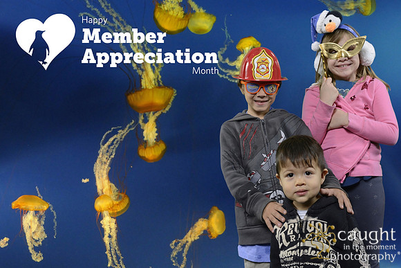 054 Aquarium Member Appreciation