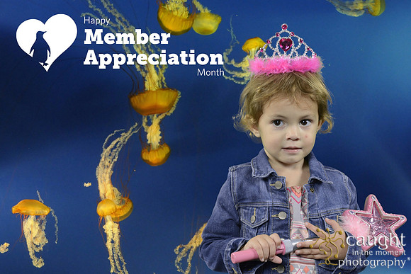 021 Aquarium Member Appreciation