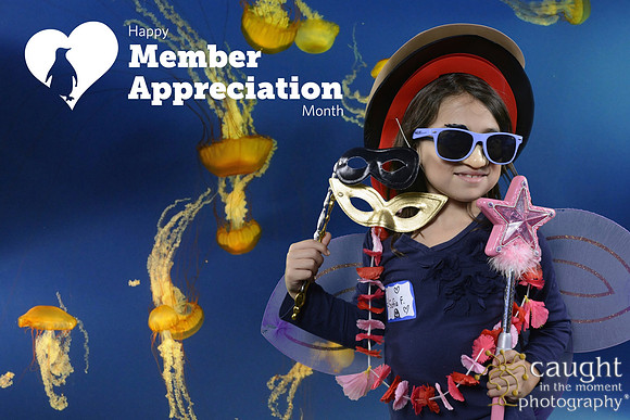 055 Aquarium Member Appreciation