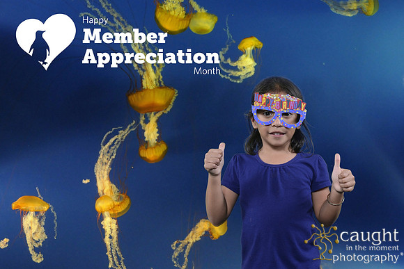 033 Aquarium Member Appreciation