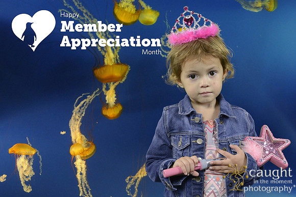 022 Aquarium Member Appreciation