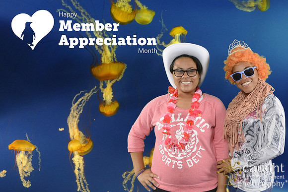 041 Aquarium Member Appreciation