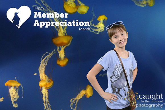 047 Aquarium Member Appreciation