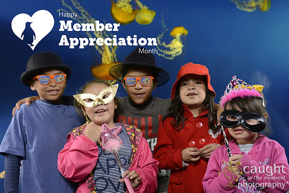 043 Aquarium Member Appreciation