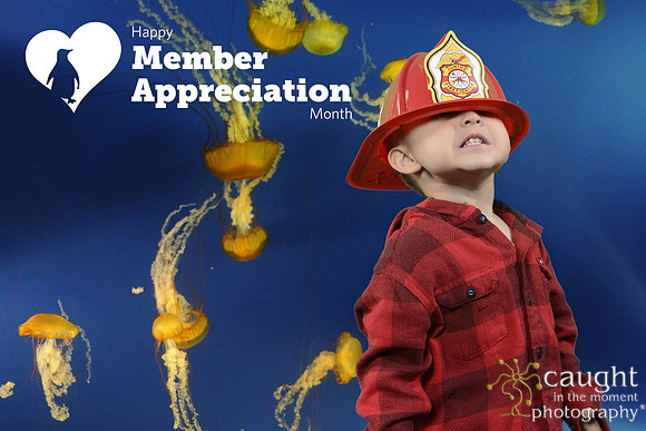 025 Aquarium Member Appreciation