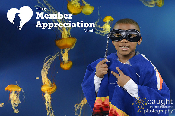 042 Aquarium Member Appreciation