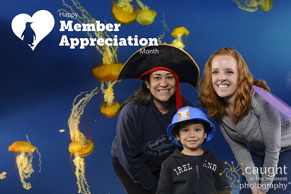 052 Aquarium Member Appreciation