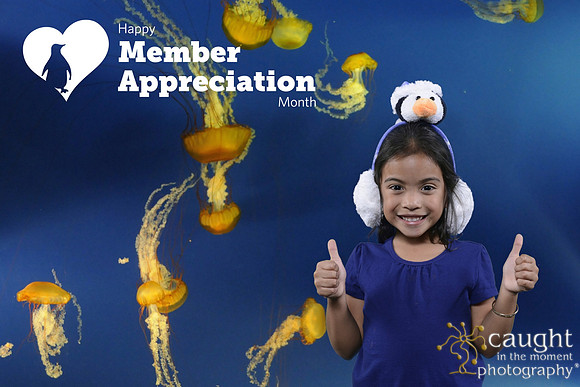 034 Aquarium Member Appreciation