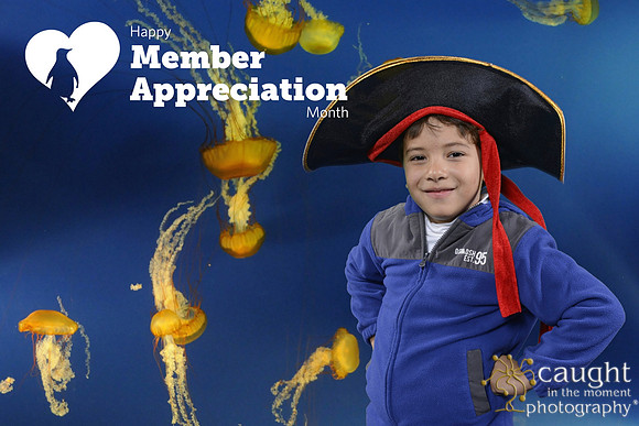 037 Aquarium Member Appreciation