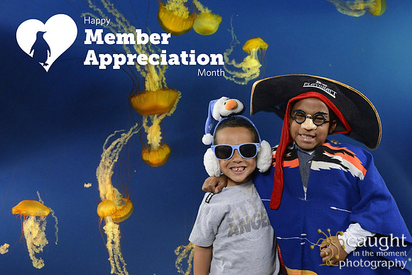 040 Aquarium Member Appreciation