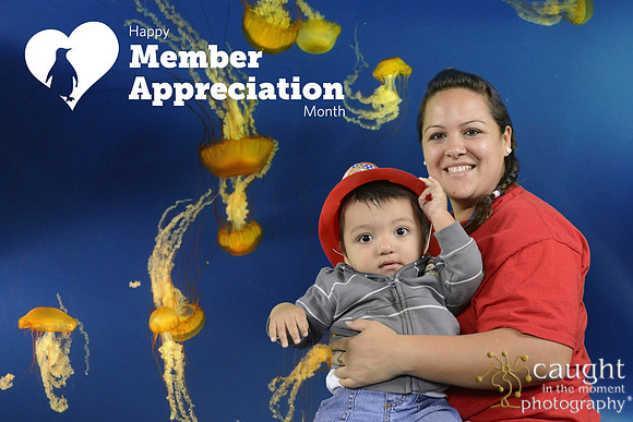 044 Aquarium Member Appreciation