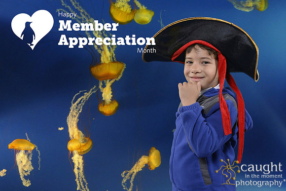 036 Aquarium Member Appreciation