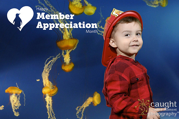 026 Aquarium Member Appreciation