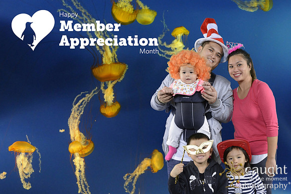 031 Aquarium Member Appreciation