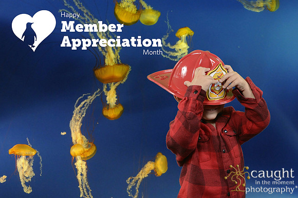 024 Aquarium Member Appreciation